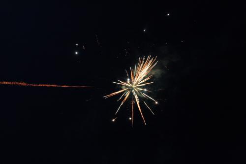 IMG 6233top